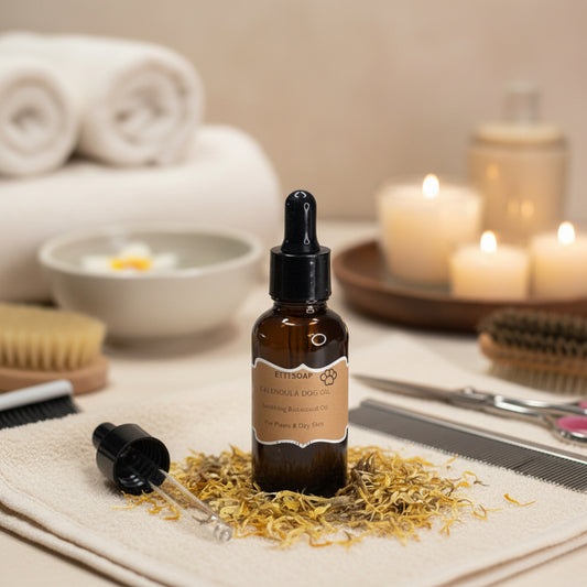 Calendula Dog Oil | Natural Pet Oil for Paws & Skin