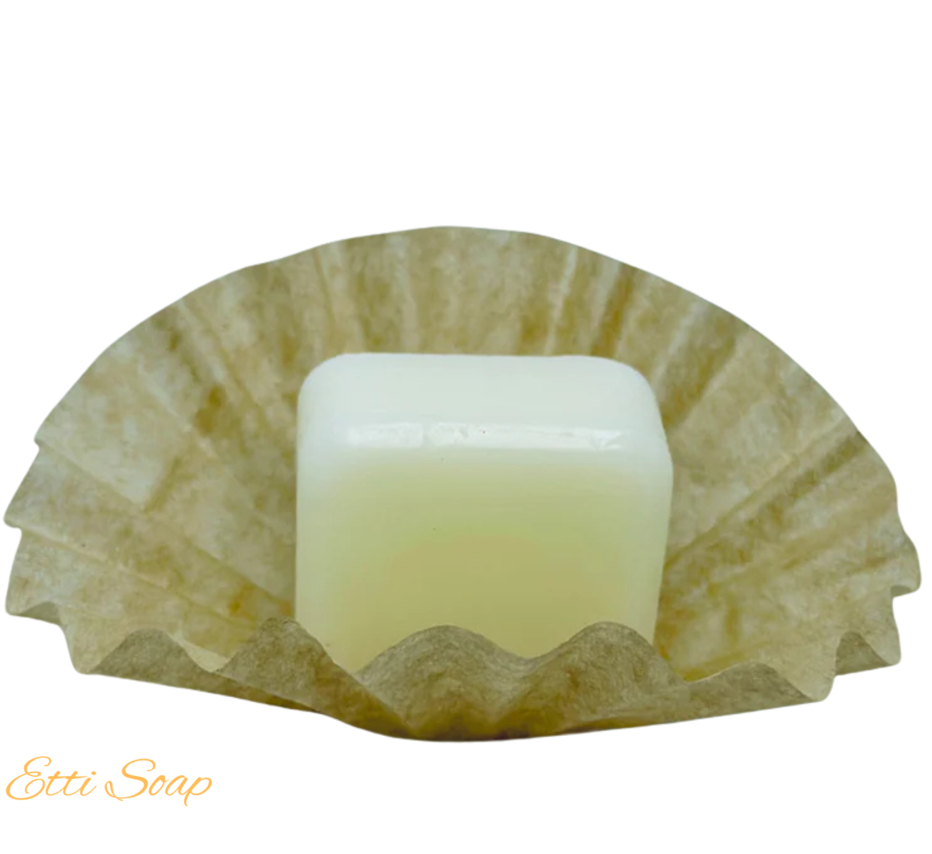 Solid conditioner bar for oily and fine hair with a cooling eucalyptus and peppermint aroma