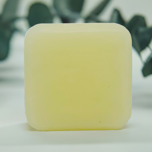 Solid Conditioner Bar – Nourishing & Lightweight Conditioning